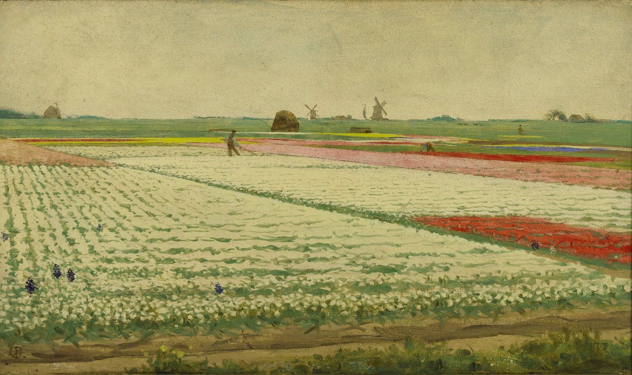 Tulipanmarker av Gerrit Willem Dijsselhof