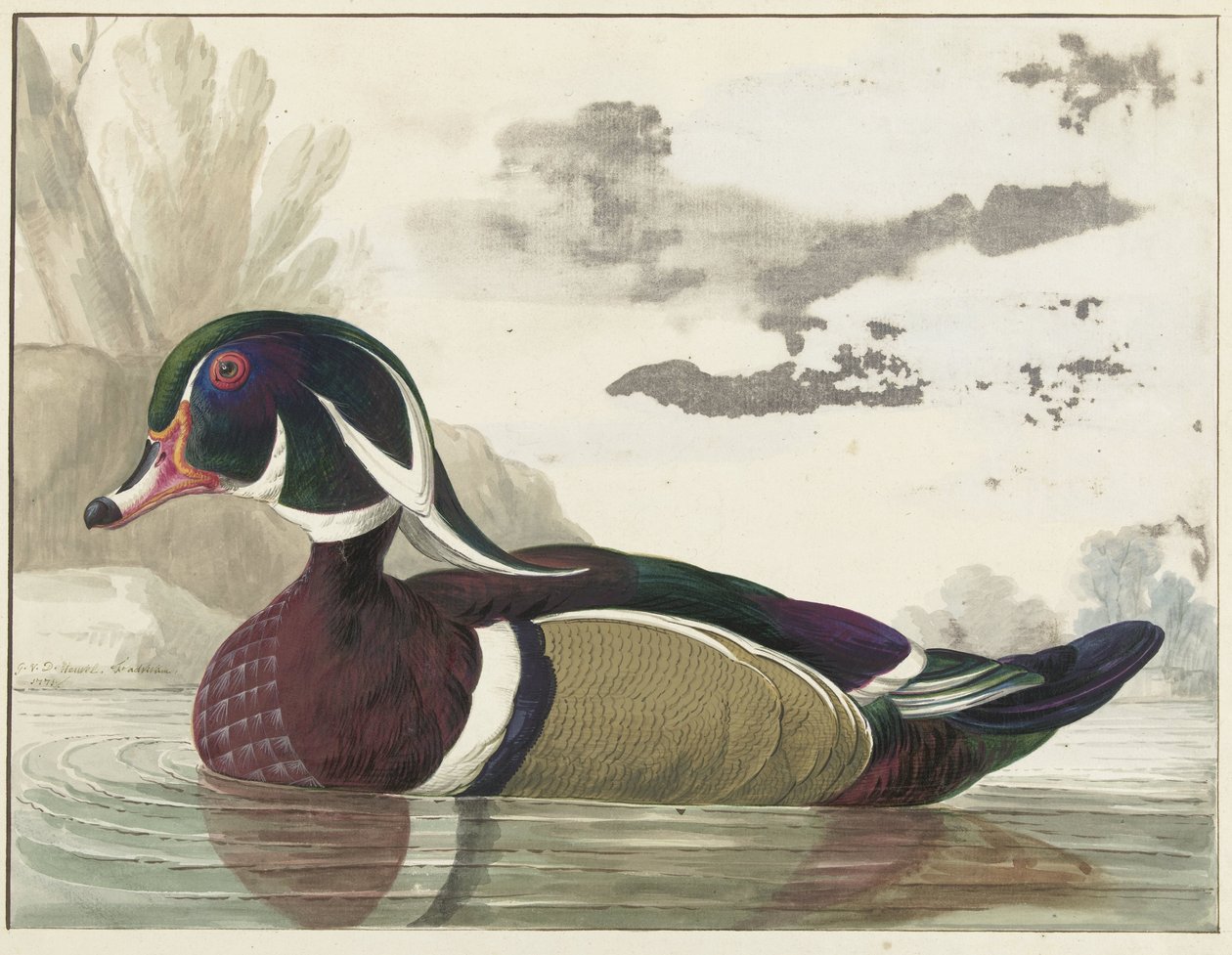 carolina duck av Gerrit van den Heuvel