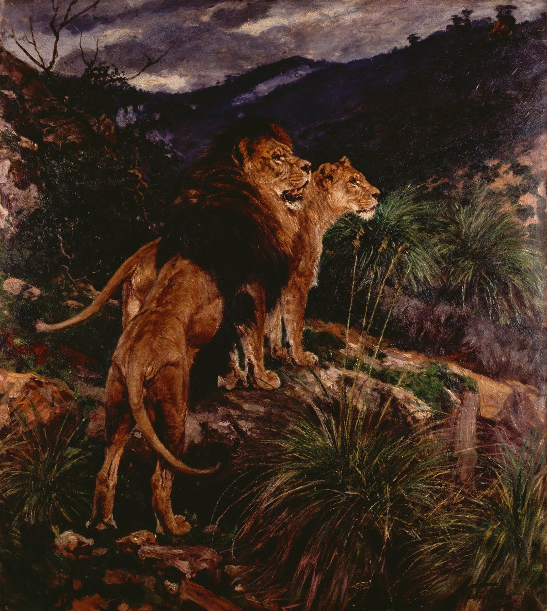 Lions Stalking (olje på lerret) av Geza Vastagh