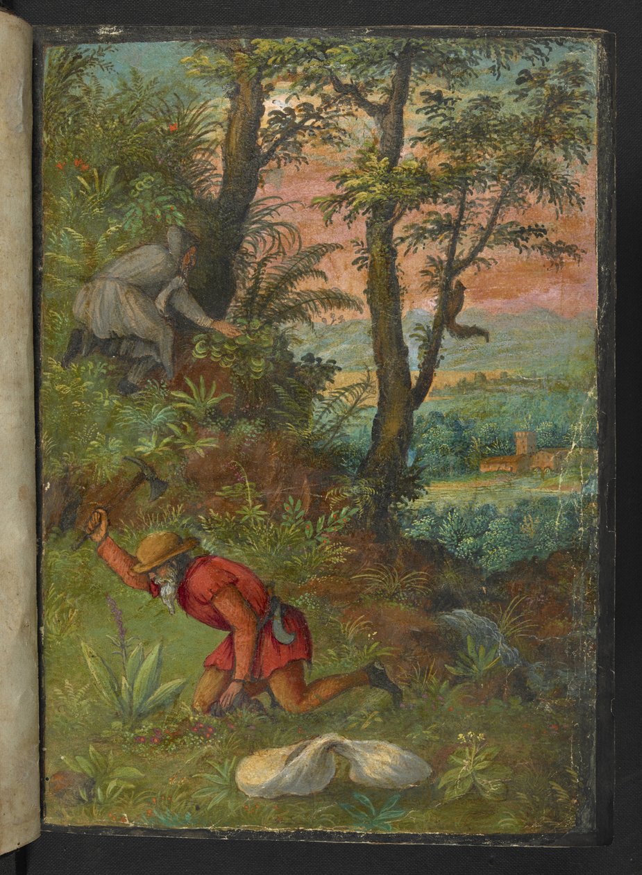 To menn i et skogsområde, graver etter planter, fra "Paintings of Flora of the Roman States" av Gherardo Cibo, Add MS 22333, f003r, c.1564-84 (akvarell og gouache på papir) av Gherardo Cibo