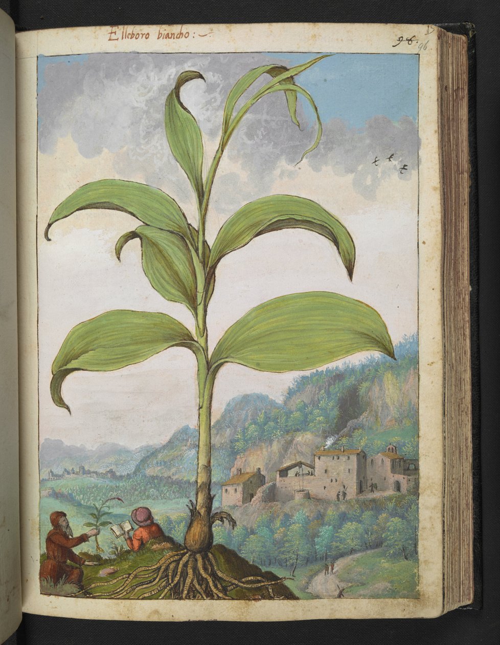 Jahangir, 17th century.    1206396   no       norwegian Successfully Translated  Original: Le Charge d Translat: Le Charge d 1334293 no norwegian Successfully Translated Original: Horse with Head Lowered, 1880searly 1890s. Translat: Keizerskroon, orchidee  av Gherardo Cibo