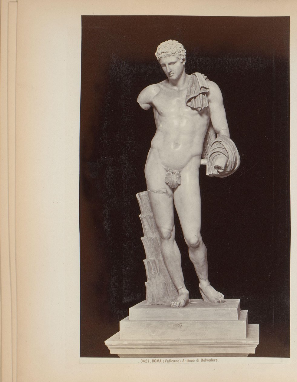 Skulptur av Hermes av Belvedere i Vatikanmuseene i Roma, Italia Roma (Vaticano) Antinoo di Belvedere (tittel på objekt) av Giacomo Brogi (attributed to)