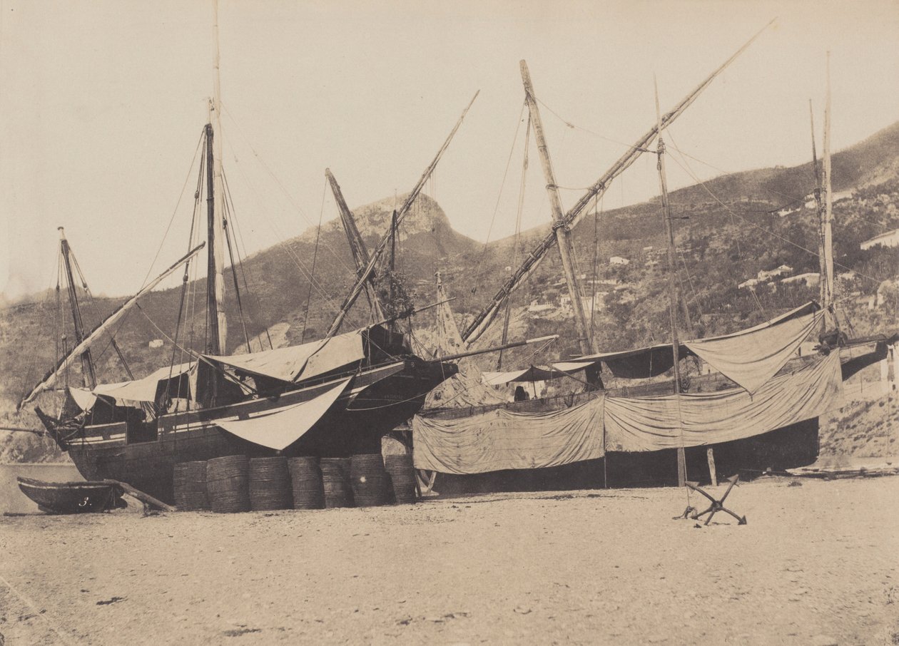  av Giacomo Caneva