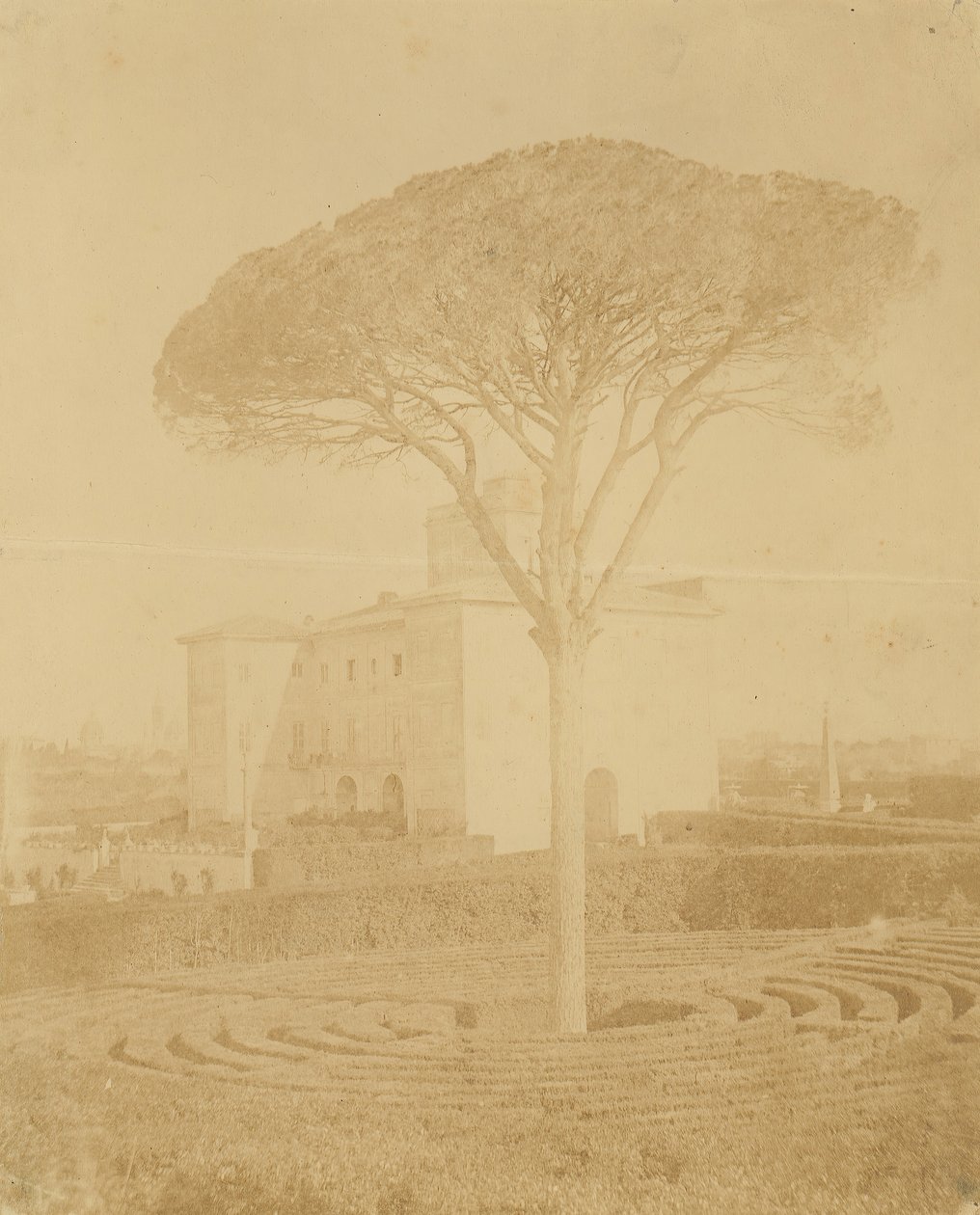 [Tre i formell hage utenfor Palazzo], 1860-70-tallet. av Giacomo Caneva
