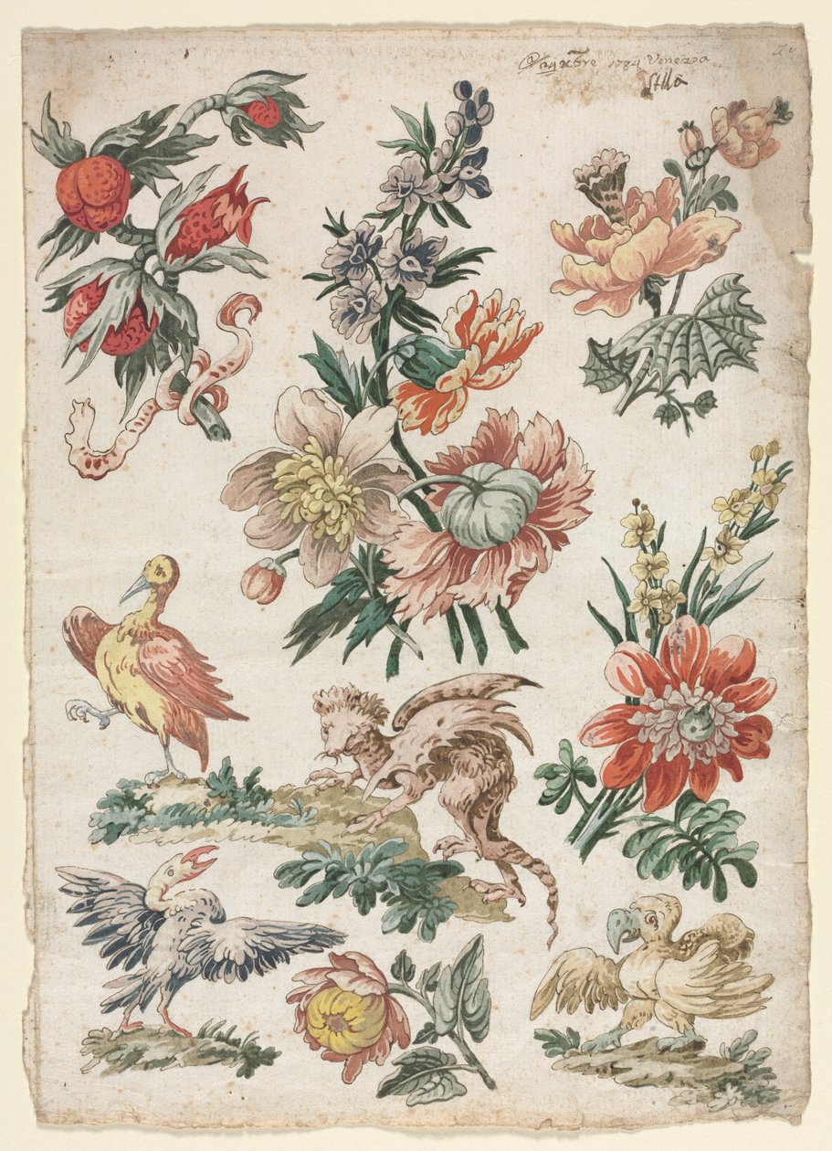Blomsterdesign med fugler og Griffon, 1784. av Giacomo Cavenezia
