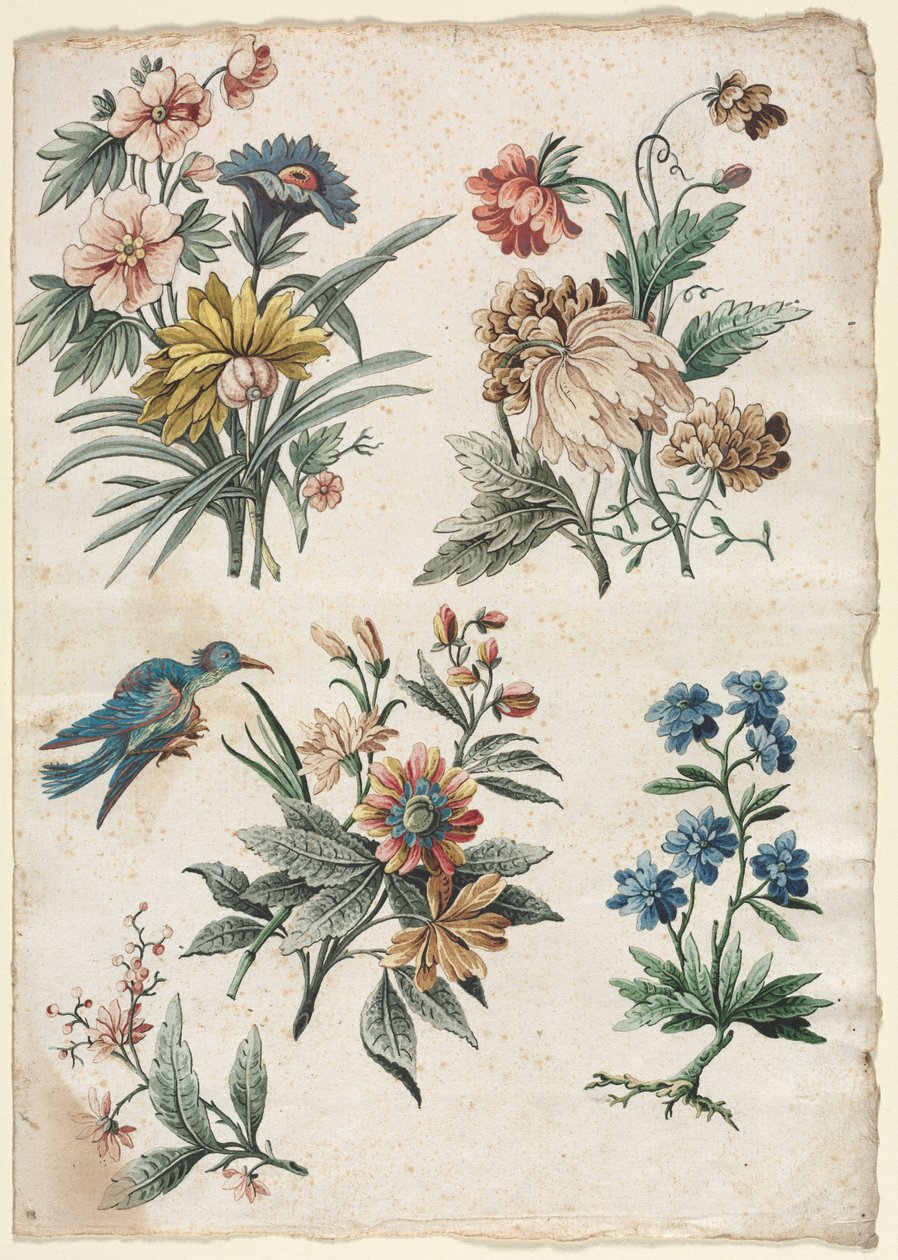 Blomsterdesign med en blå fugl, ca. 177374. av Giacomo Cavenezia