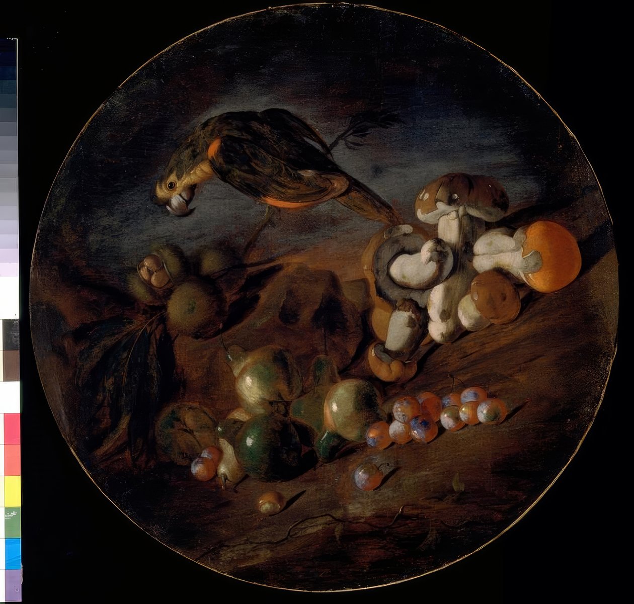 Stilleben med sopp, frukt og en papegøye av Giacomo Fardella de Calvello
