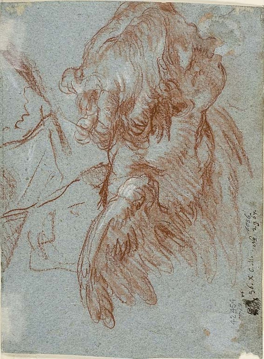 Studer for detaljer: Leder for en kjerub av Giambattista Tiepolo