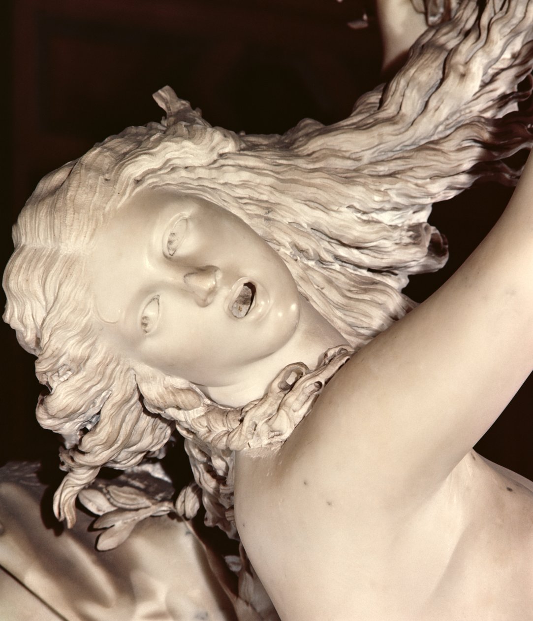 Apollo og Daphne, detalj av Daphnes-hodet, 1622-25 marmor av Gian Lorenzo Bernini