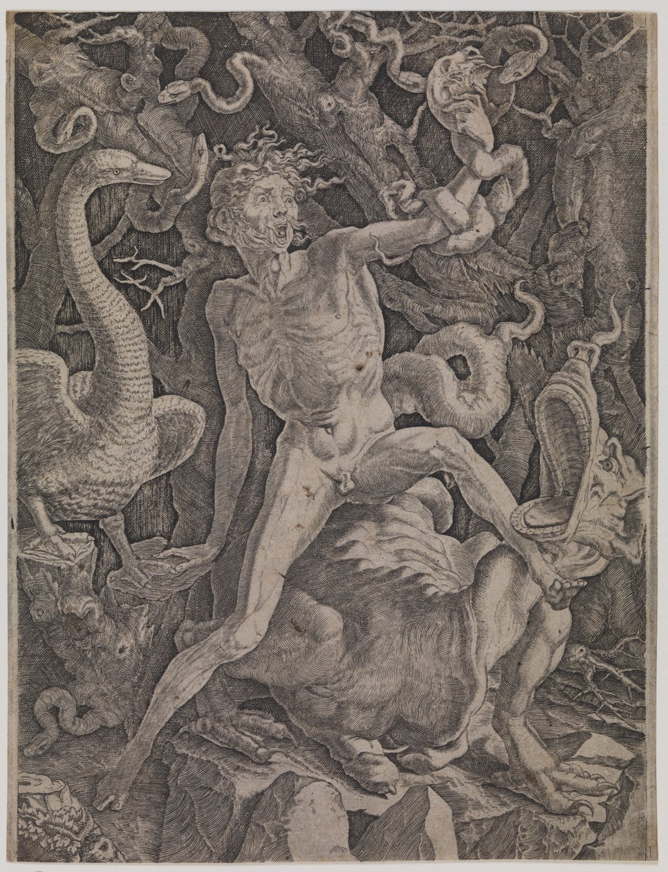 Allegori om sinne av Gian Jacopo Caraglio