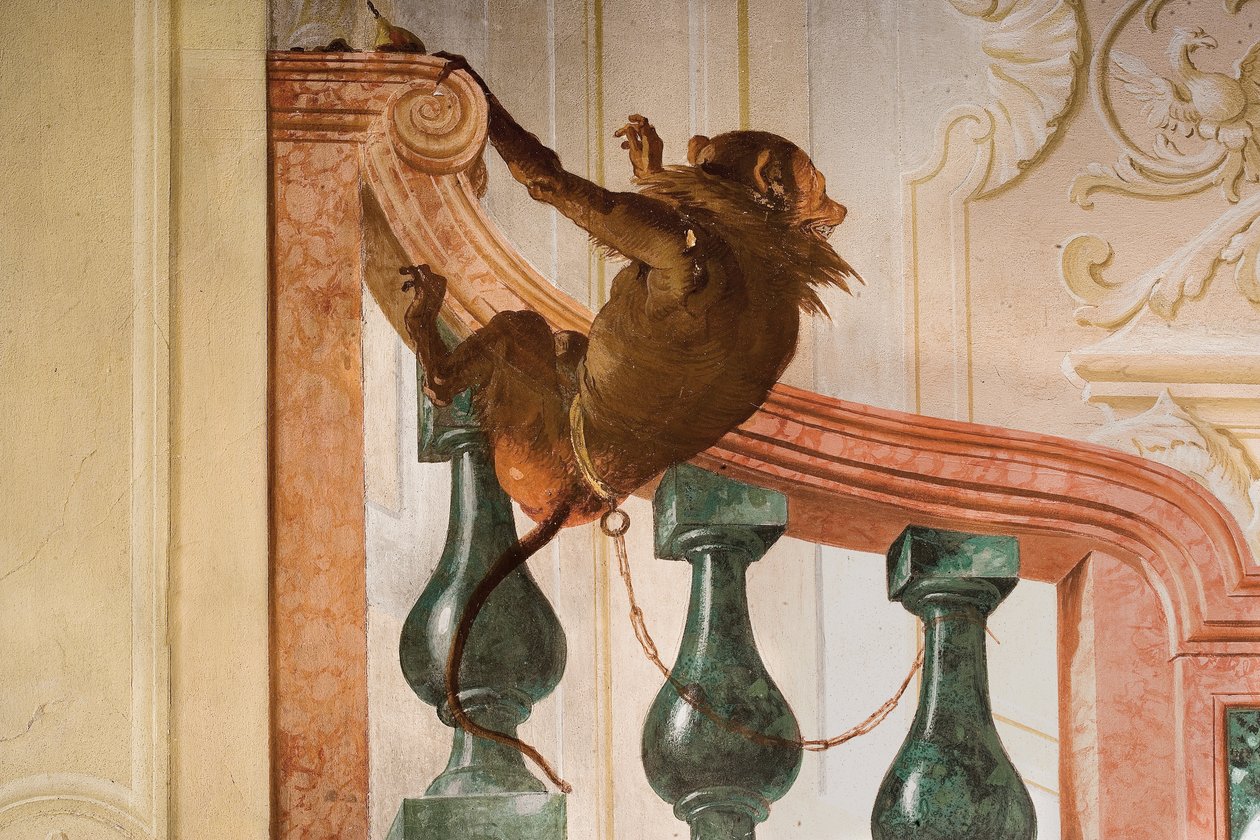Detalj av Monkey, fra Room of Carnival Scenes in the Foresteria av Giovanni Domenico Tiepolo