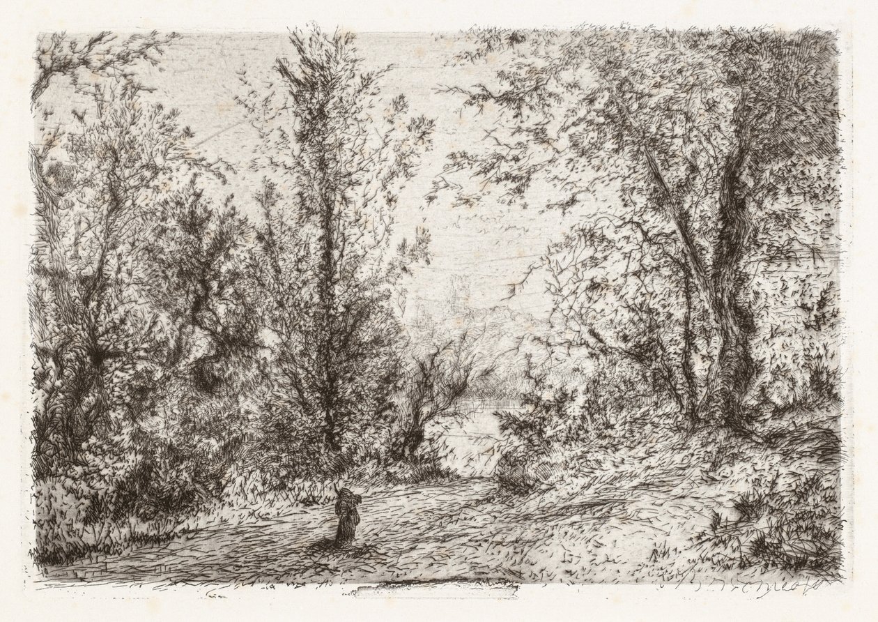 Skog ved Lago Maggiore [skog ved Lago Maggiore] av Giberto Borromeo