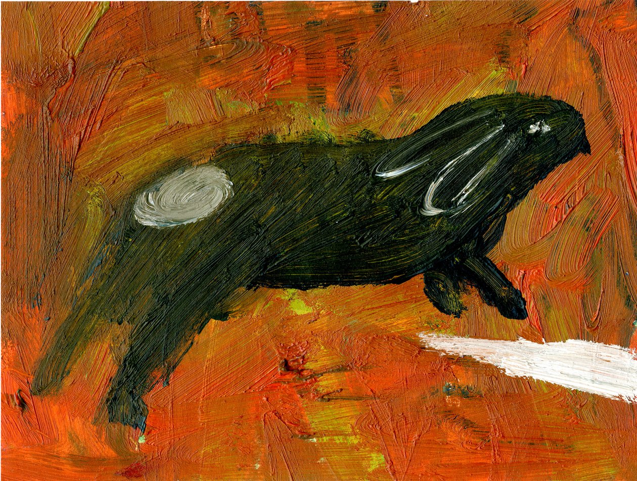 Kanin, 2005, (olje på papir) av Gigi Sudbury