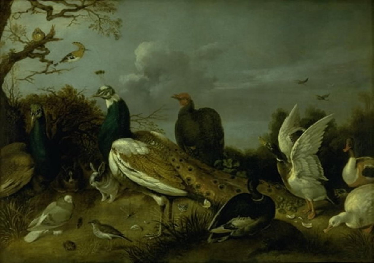 Påfugler, ender og andre dyr av Gijsbert Gillisz. de Hondecoeter
