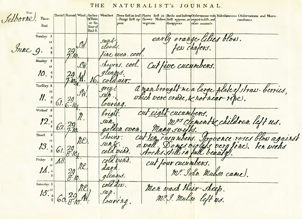 Siste fullførte side av Gilbert Whites Naturalists Journal, 9.–15. juni 1793 av Gilbert White