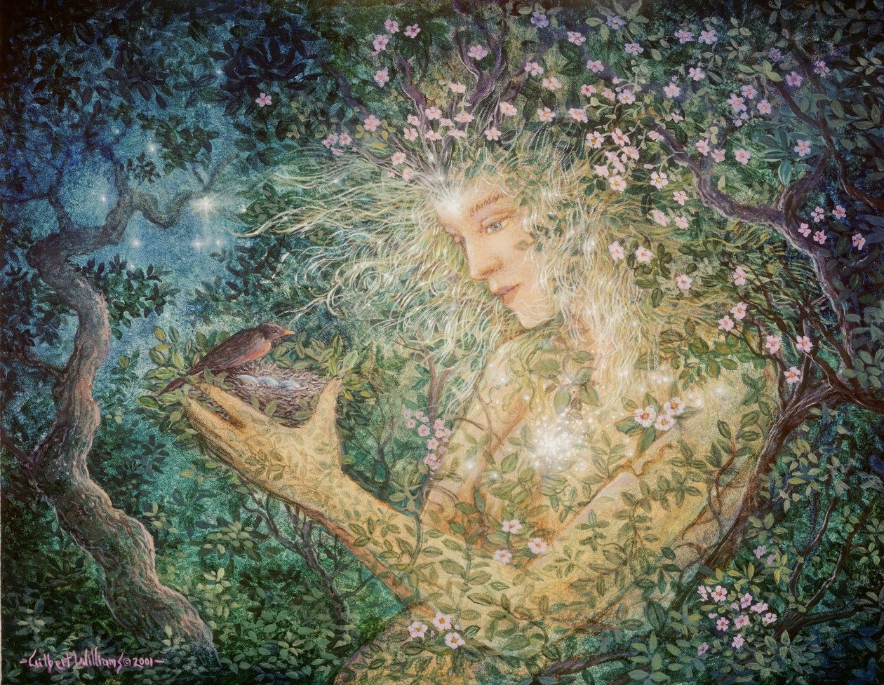  av Gilbert Williams