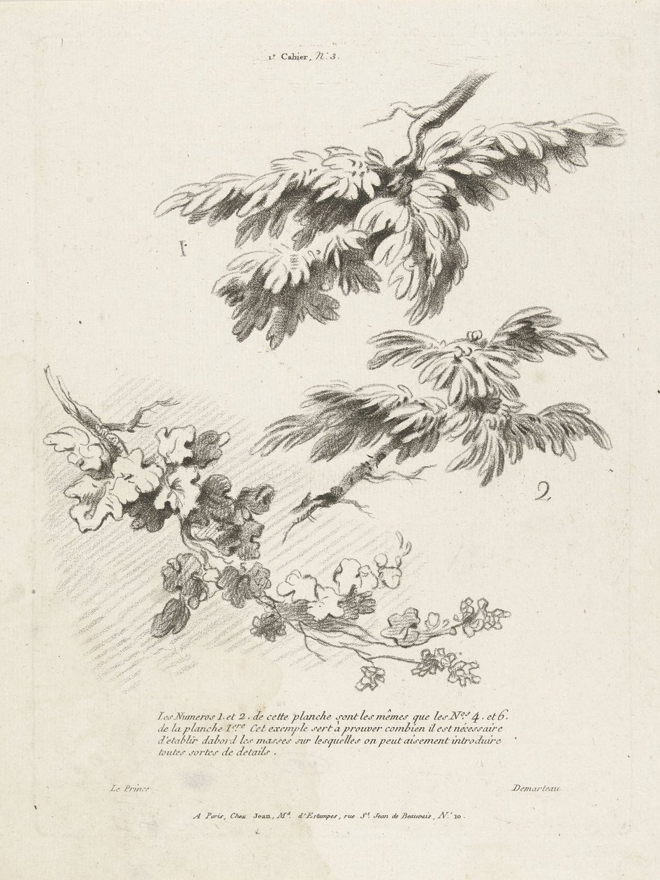 Studie av tre grener med blader 1er Cahier de paysage (serietittel) av Gilles Demarteau