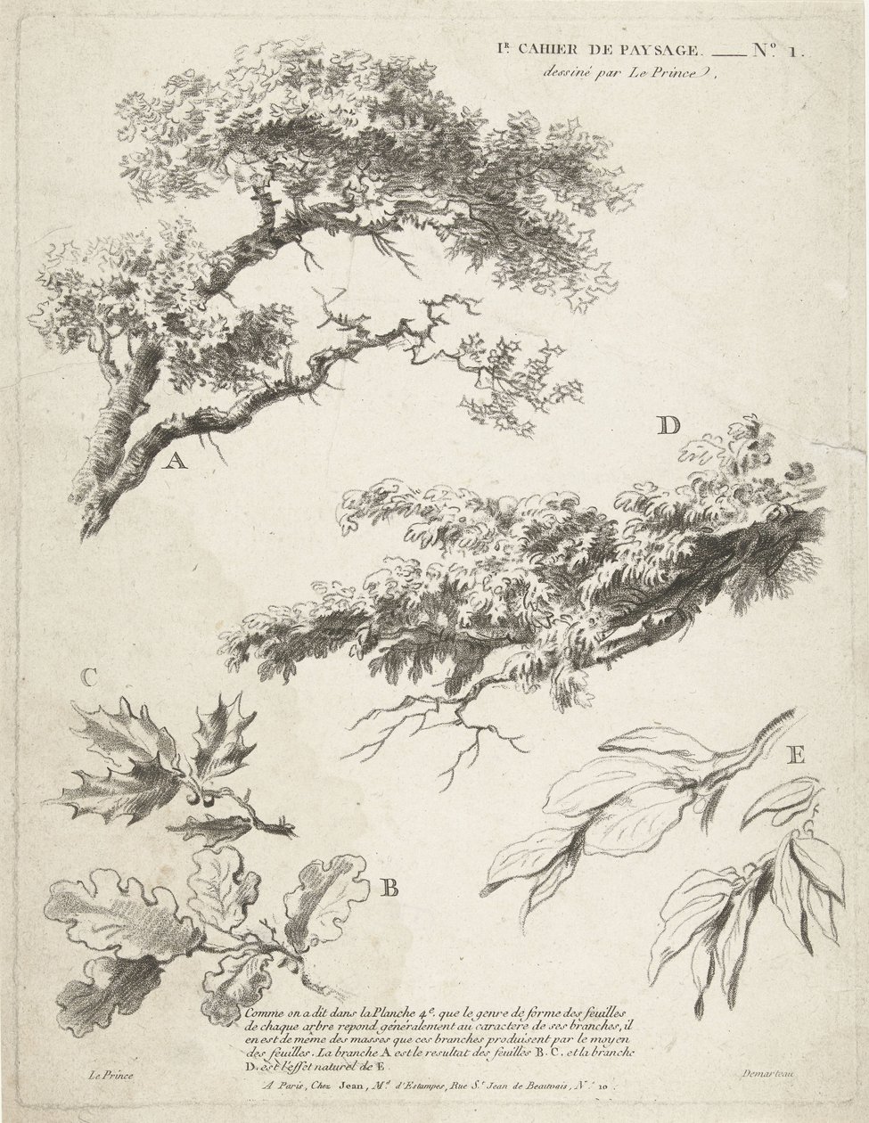 Studie av greiner med blader 1er Cahier de paysage (serietittel) av Gilles Demarteau