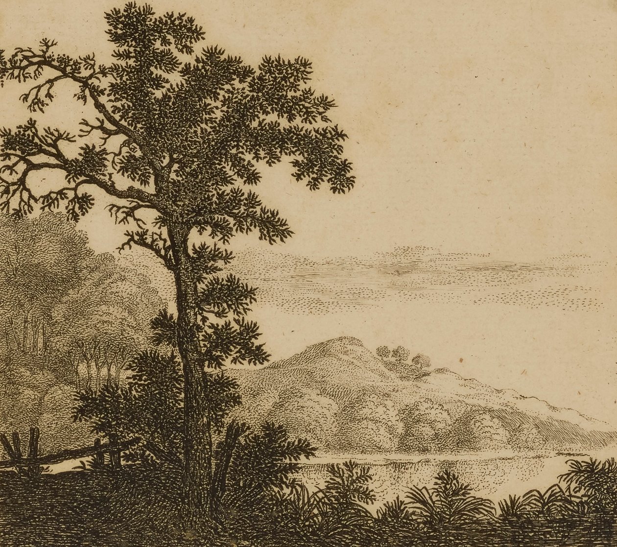  av Gillis Neyts