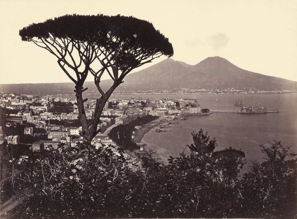 Panorama over Vomero med furutre av Giorgio Sommer