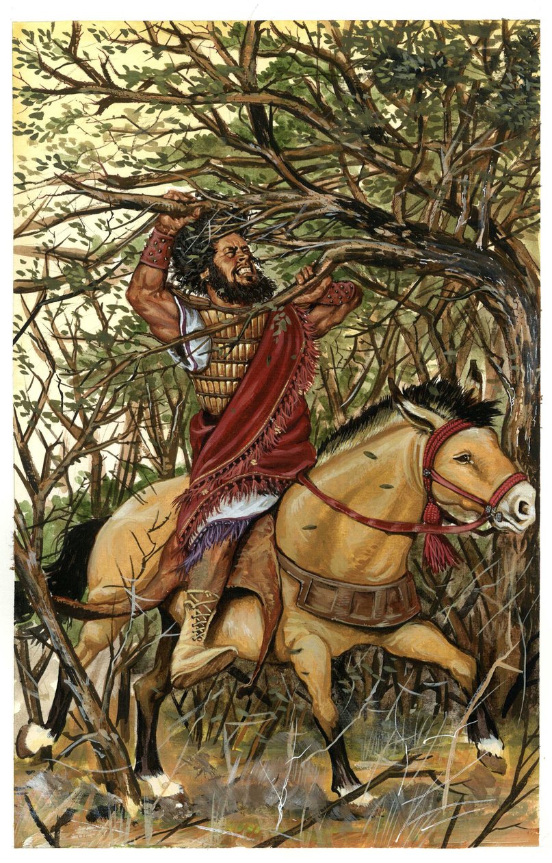  av Giorgio Albertini