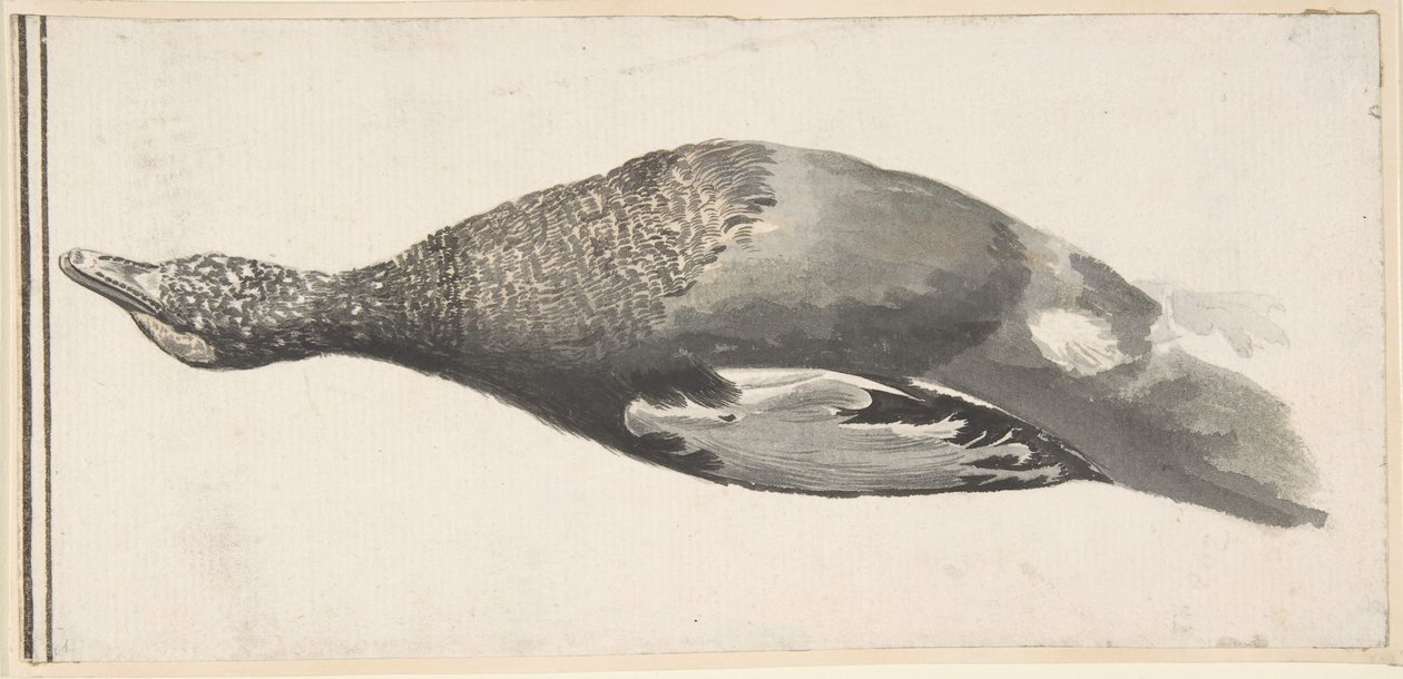 Død and, 1685-1755. av Giorgio Durante