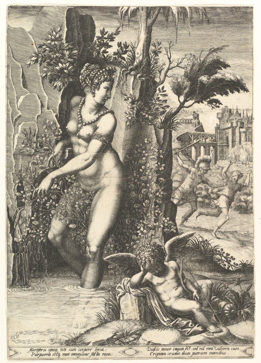 Venus stukket av tornene på en rosebusk, i bakgrunnen Mars jager Adonis, i ..., 1556. av Giorgio Ghisi