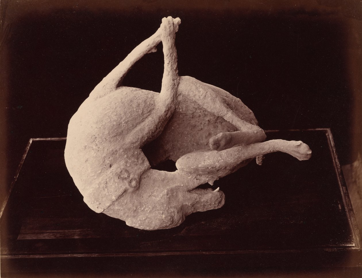  av Giorgio Sommer