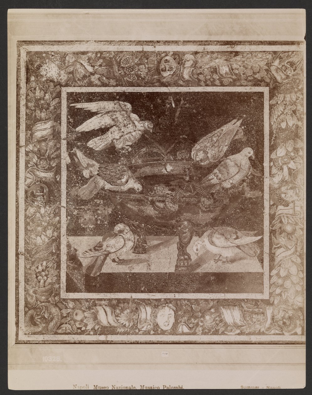  av Giorgio Sommer