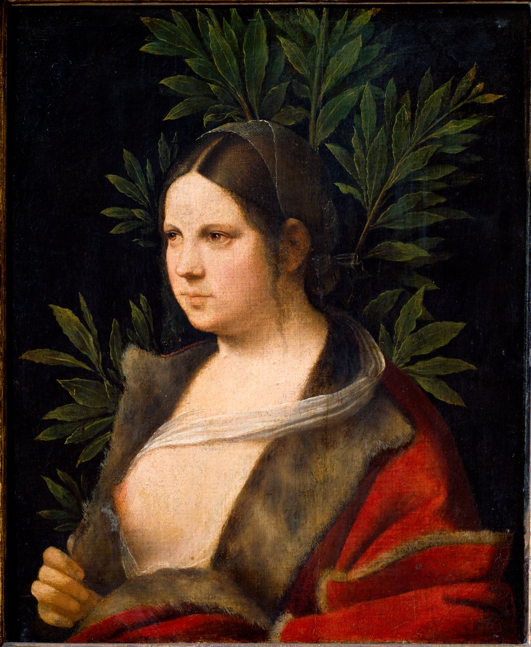 Portrett av Laure av Giorgione