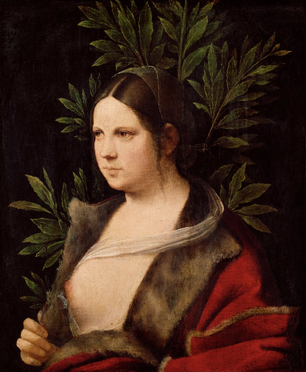  av Giorgione