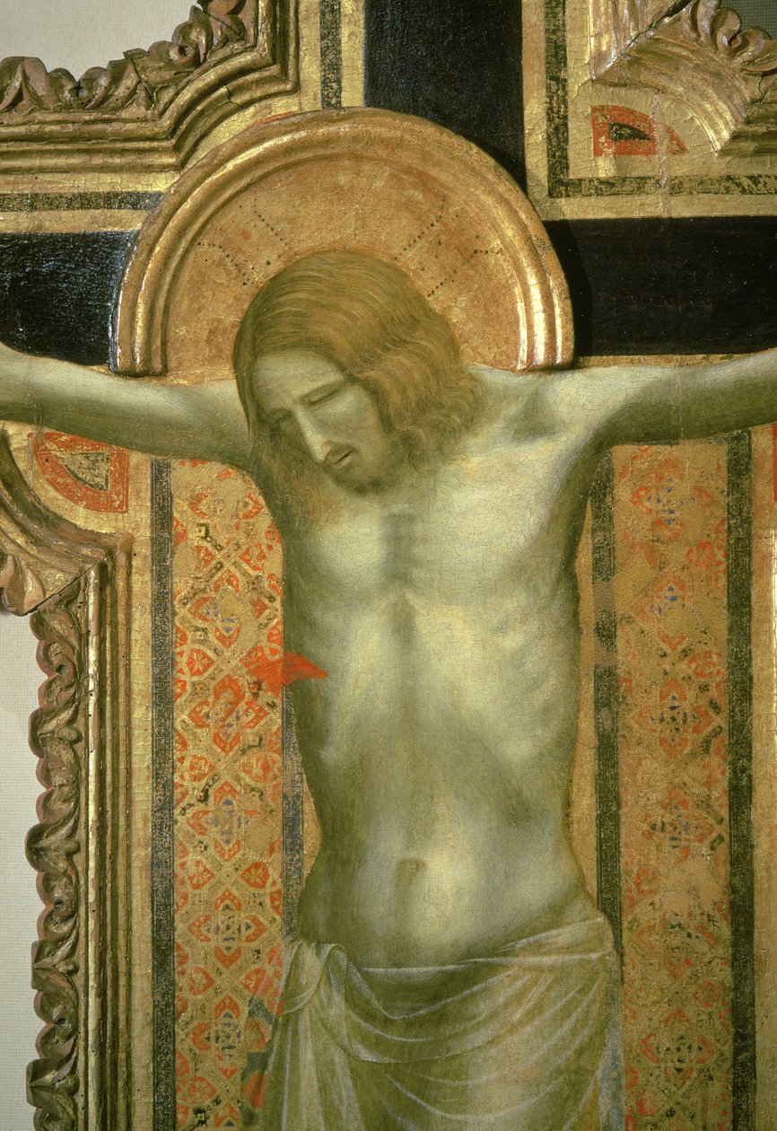 Krusifiks, detalj av Kristus, 1317 tempera på panel av Giotto di Bondone