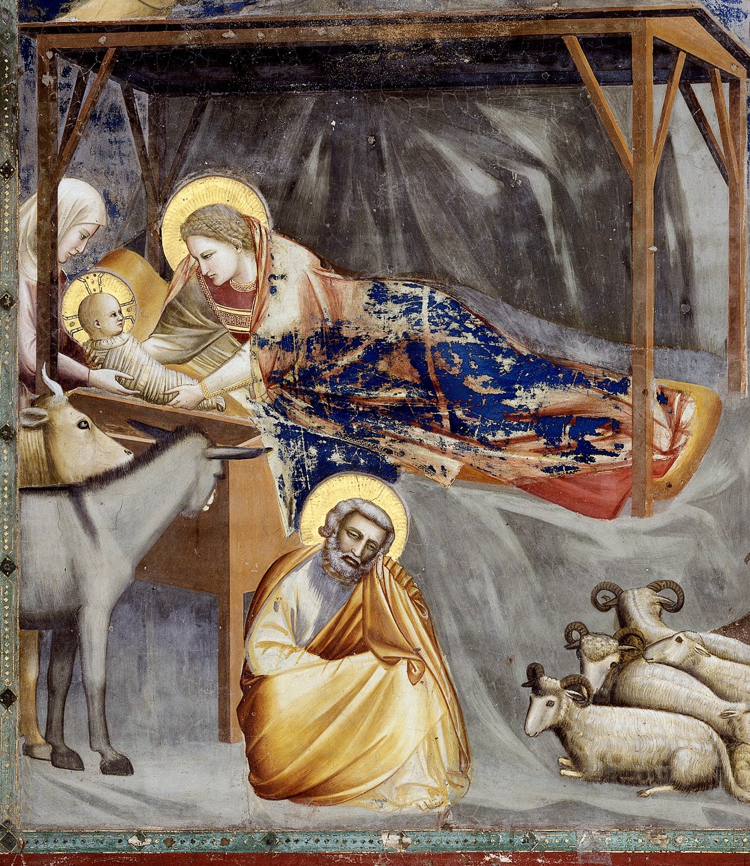 Fødselen, detalj av jomfruen og barnet, eselet og Josef, detalj av Giotto (c.1266 1337)