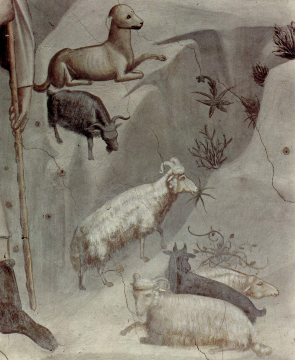  av Giotto