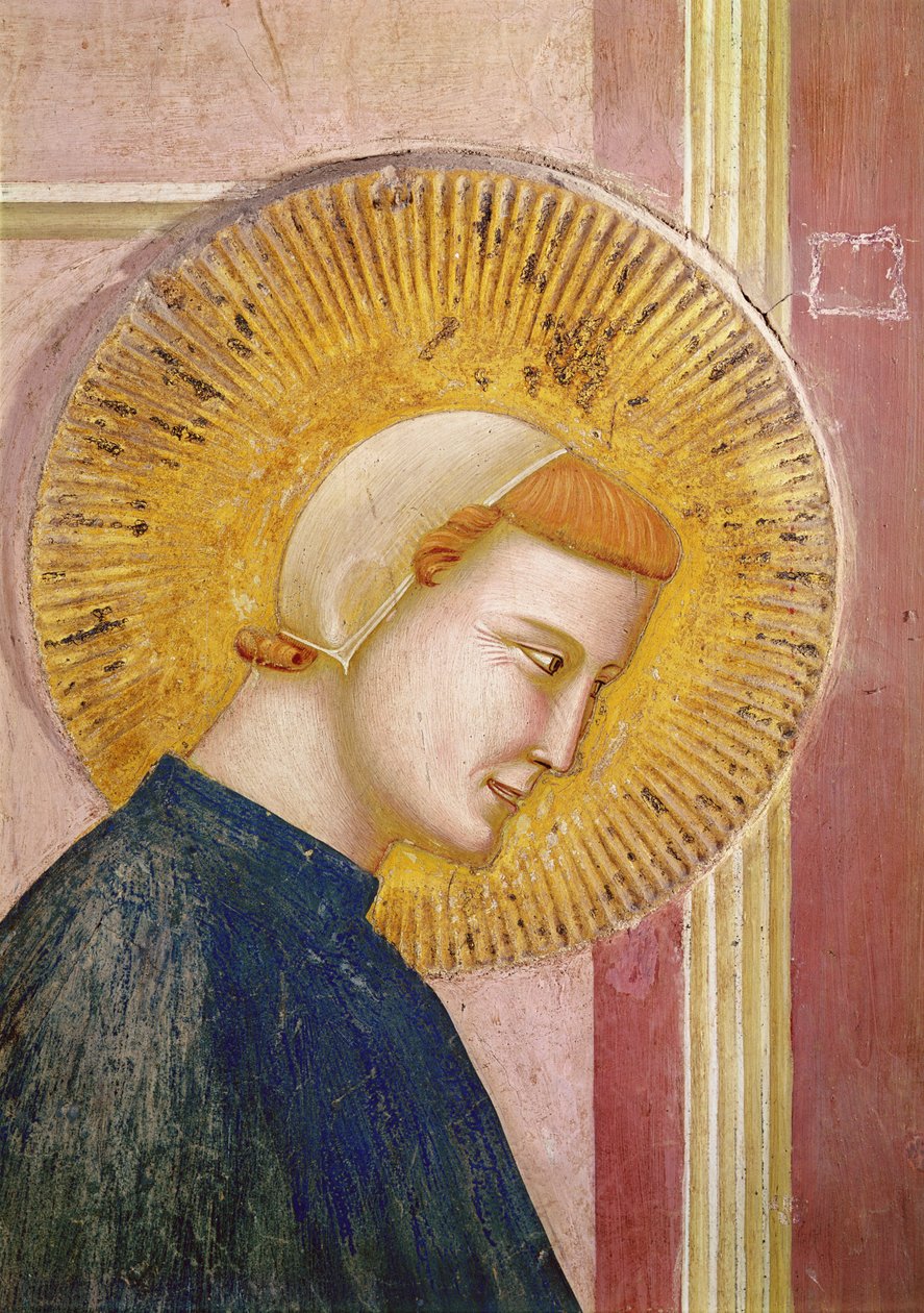 Saint Francis hedret av en enkel mann, detalj av hodet til Saint Francis, ca. 1297-99 av Giotto di Bondone