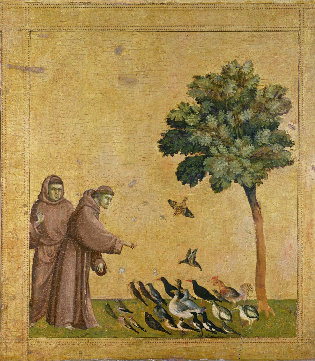 Prekenen til fuglene av Giotto di Bondone