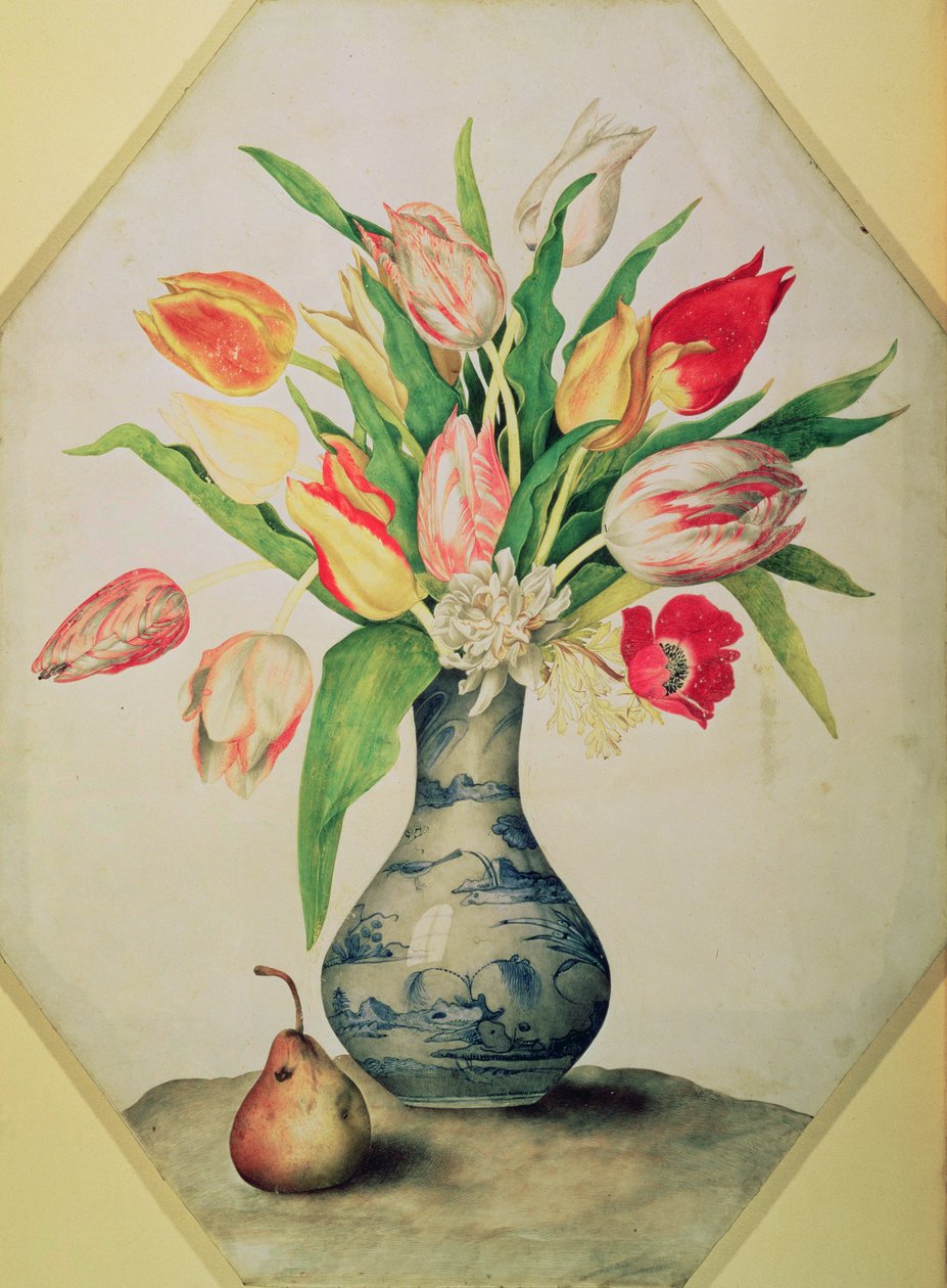 Blå Kina vase med tulipaner (tempera på vellum) av Giovanna Garzoni