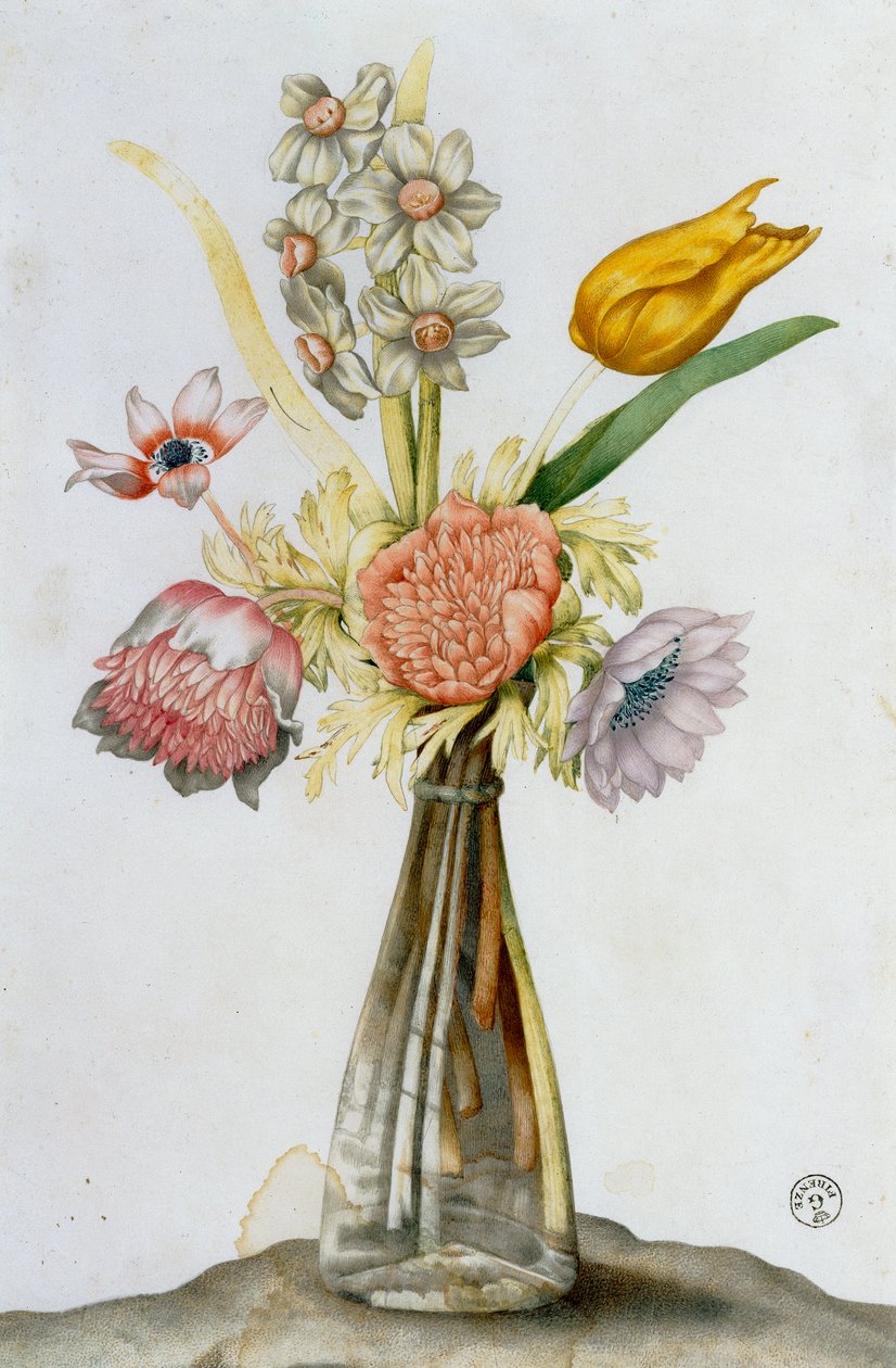 Glassvase med anemoner, en narsissist og en tulipan av Giovanna Garzoni
