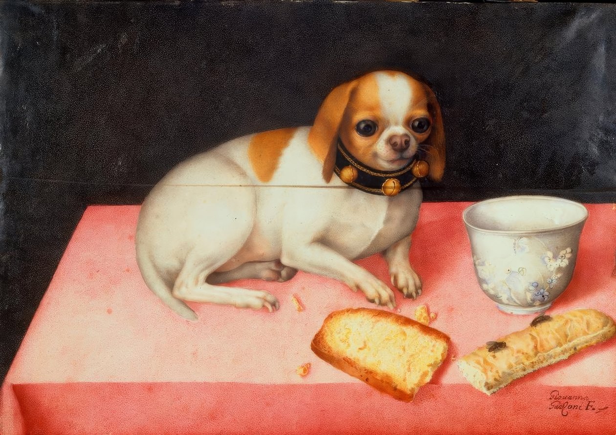 Hundevalp med brødskiver av Giovanna Garzoni