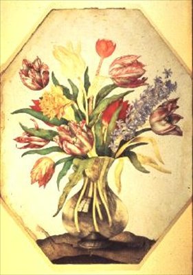 Glassvase med tulipaner med hyasint av Giovanna Garzoni