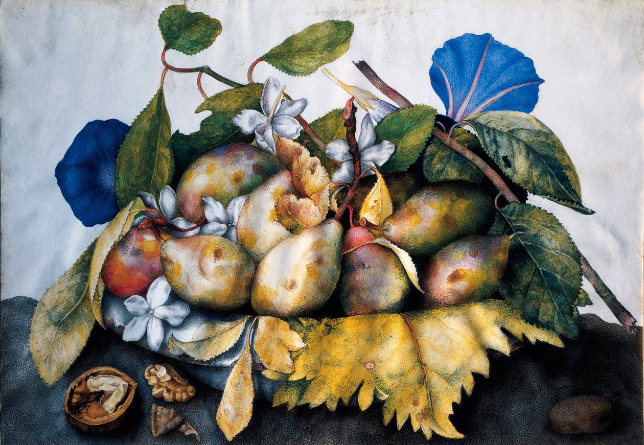 Tallerken med plommer, sjasmin og nøtter Maleri på pergament av Giovanna Garzoni (1600-1670) av Giovanna Garzoni