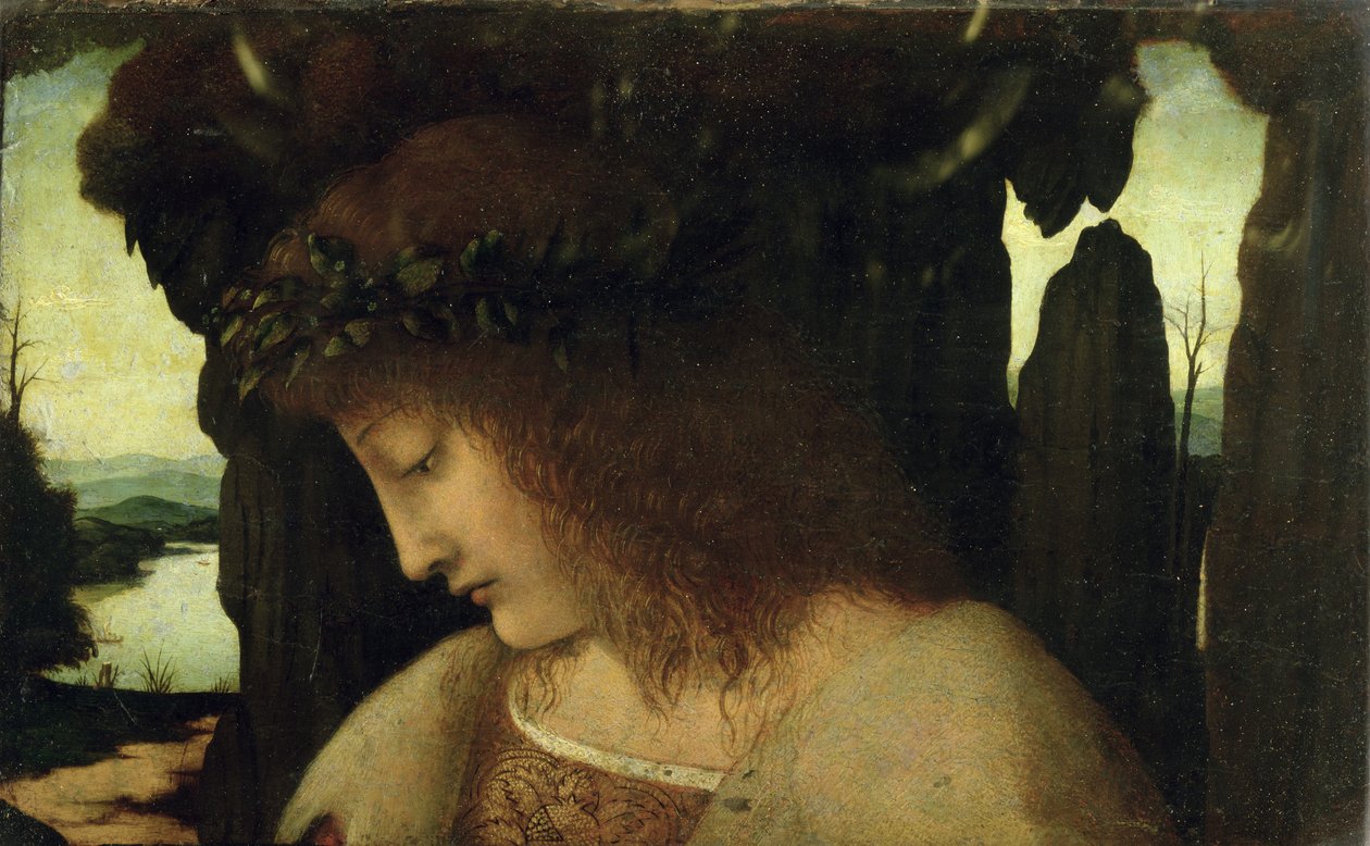 Narcissus ved fontenen av Giovanni Antonio Boltraffio