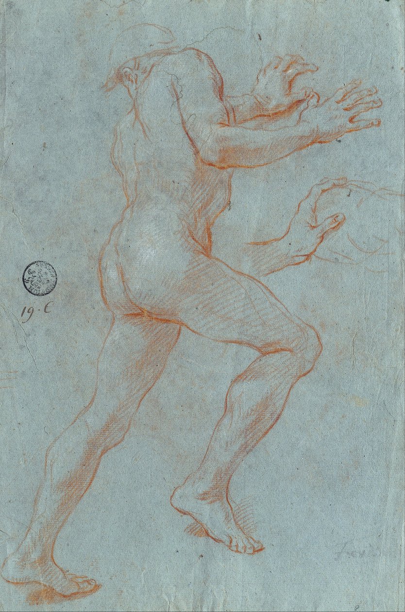 Studie av en mannlig nakenhet av Giovanni Antonio Grecolini