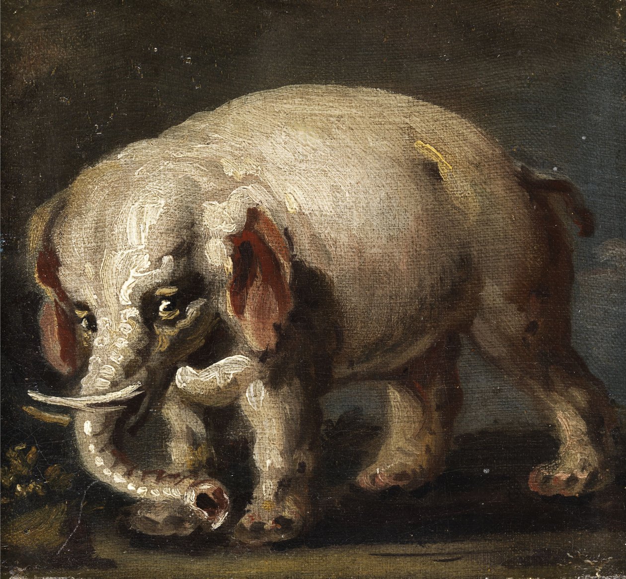 elefant av Giovanni Antonio Guardi