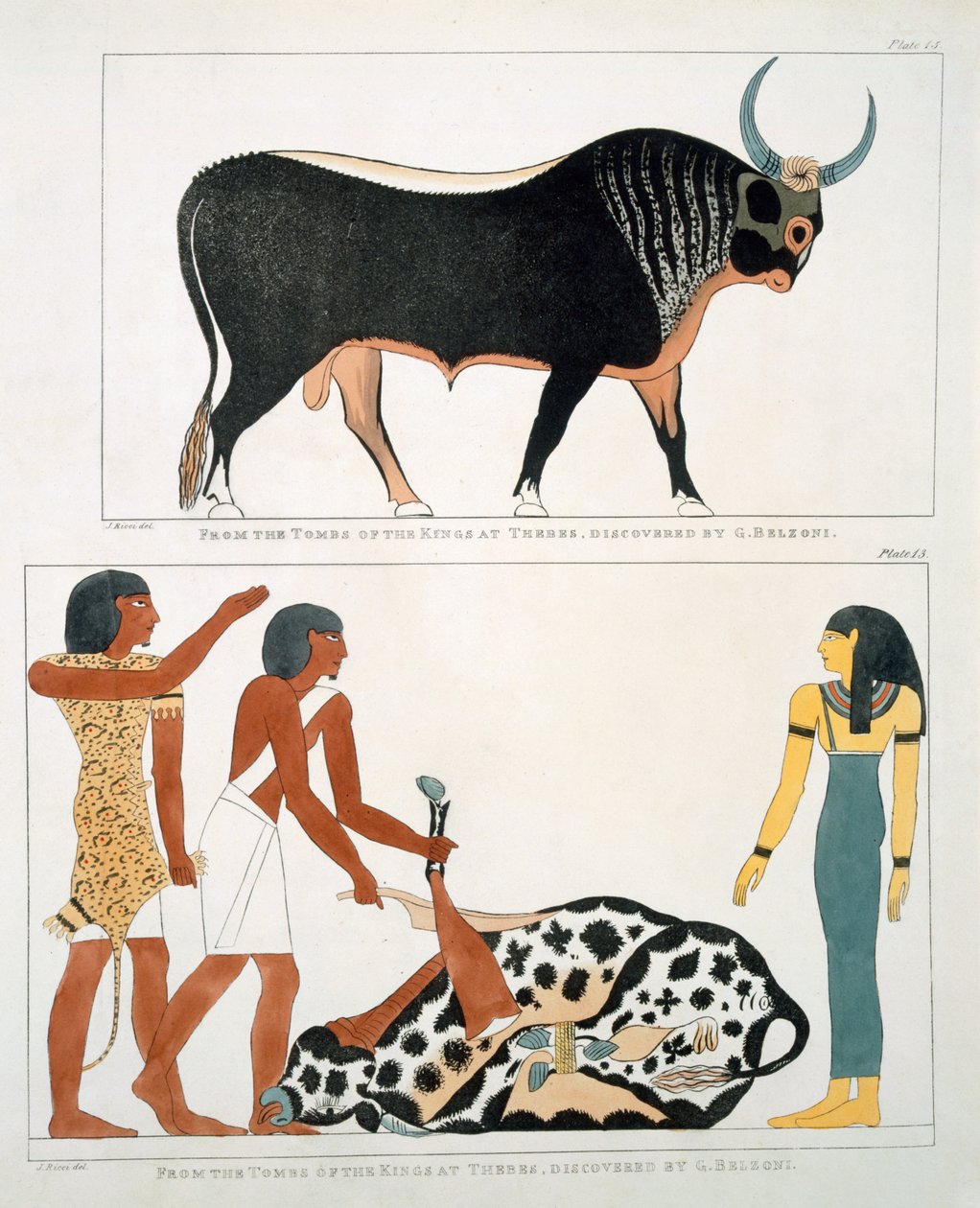 Veggmaleri fra gravene til kongene av Theben, oppdaget av G. Belzoni, plate 13 fra 
