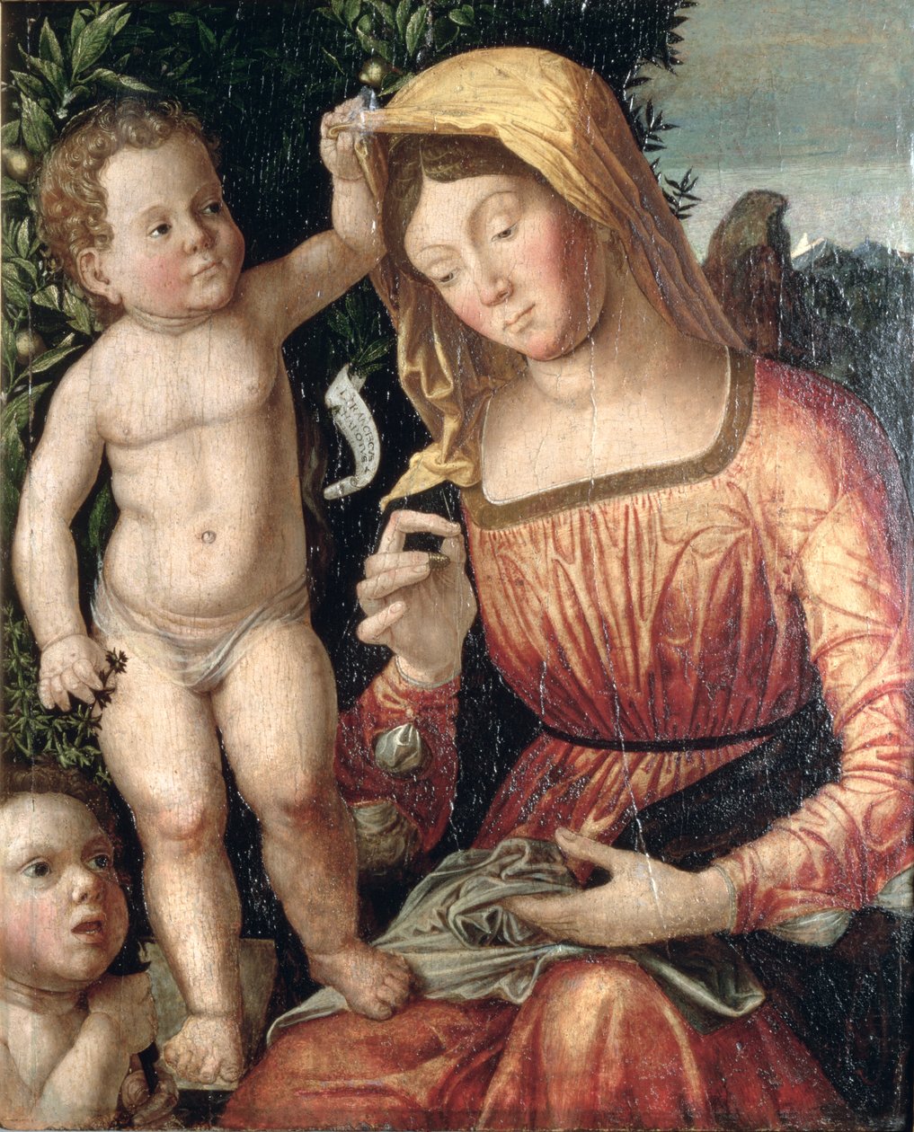 Madonna sying av Giovanni Francesco Caroto