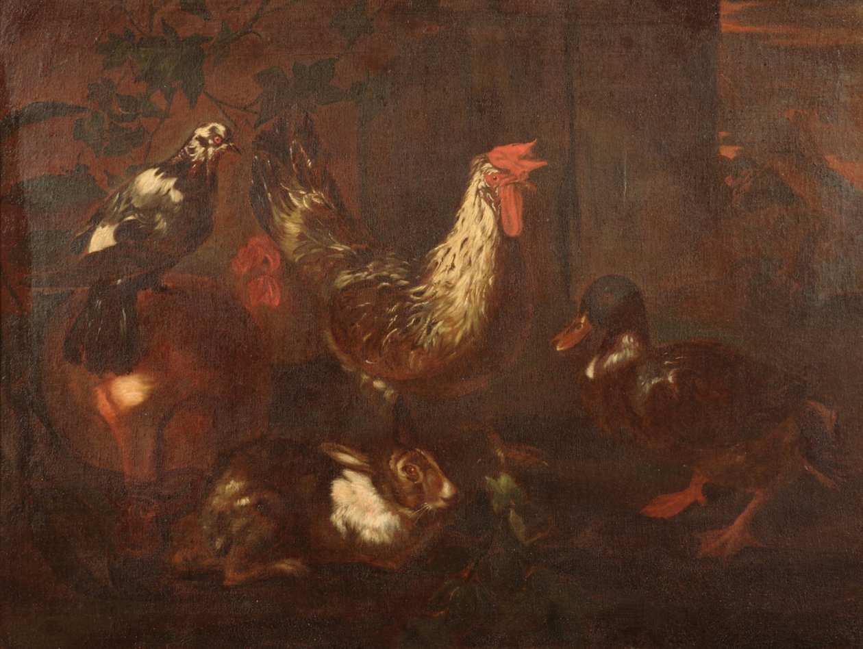 Fjærkre og kaniner av Giovanni Francesco Cassana