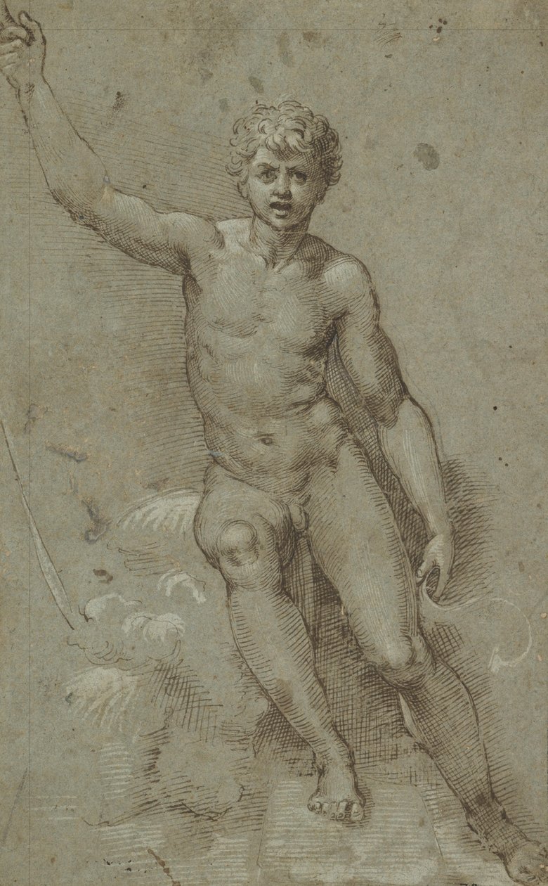Saint John in the Wilderness av Giovanni Francesco Penni