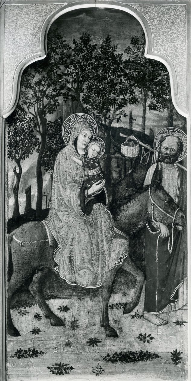 Cycle of the Life of the Virgin, Flight into Egypt, c.1445 olje på poppelpanel bw foto av Giovanni Francesco da Rimini