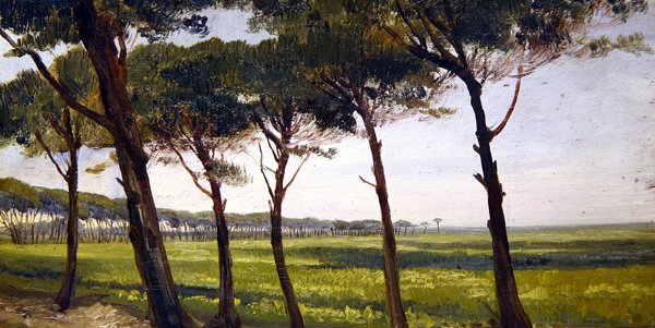 A Line of Old Pines (olje på panel) av Giovanni Costa